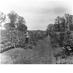 Walled garden in Lilford Park